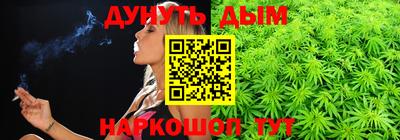 прущие крисы Гатчина