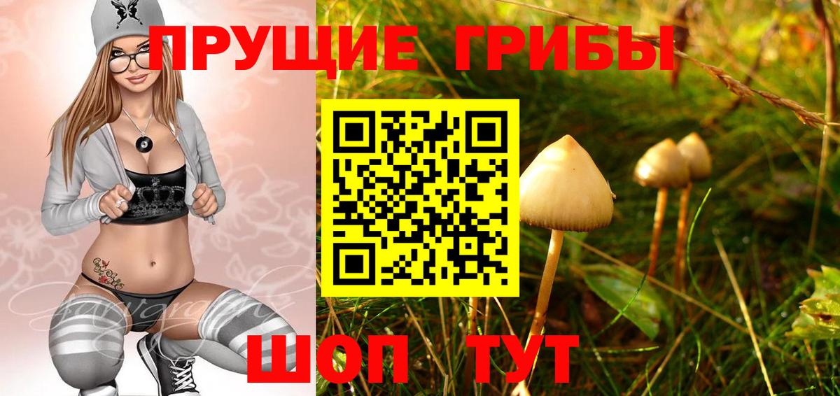 Псилоцибиновые грибы Magic Shrooms  Вход с VPN  Донецк 