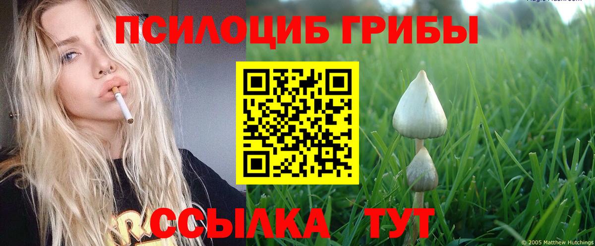 Псилоцибиновые грибы ЛСД Донецк