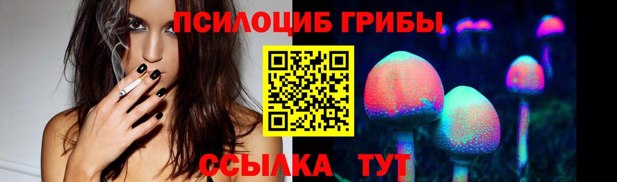Псилоцибиновые грибы Magic Shrooms  Донецк  продажа наркотиков  Псилоцибиновые грибы Cubensis 