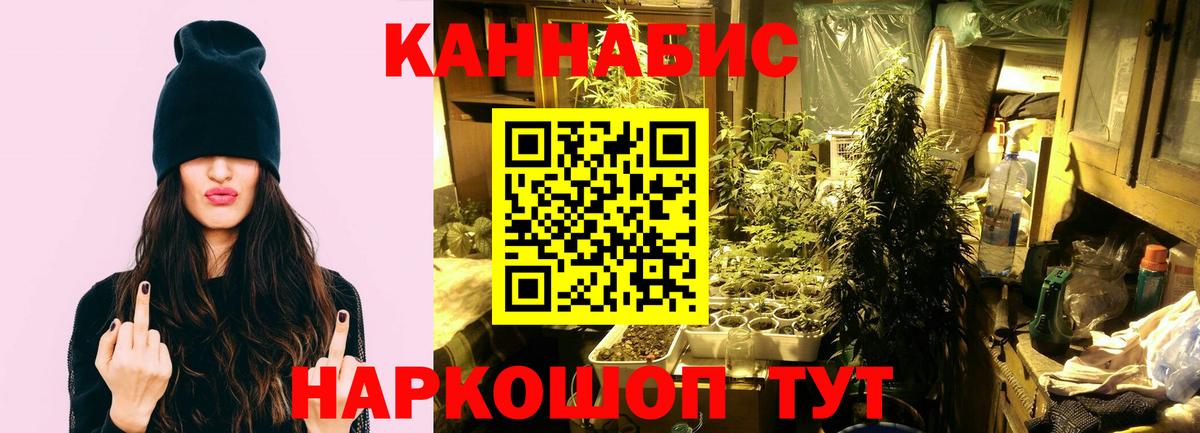 МАРИХУАНА сатива  Шишки марихуана THC 21%  Вход с VPN  Донецк 